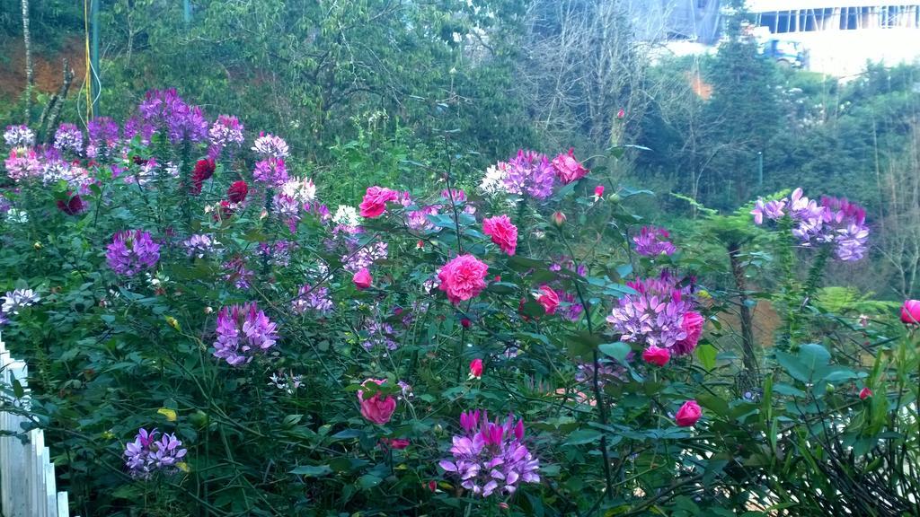 Sapa Garden Resort Eksteriør bilde